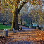 st-james-s-park-480
