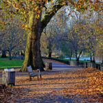 st-james-s-park-800