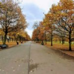 regentspark-londres