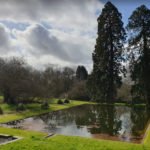 castillode-hedingham-4